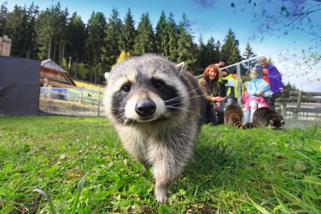 Busreise mit Fuchs Reisen
