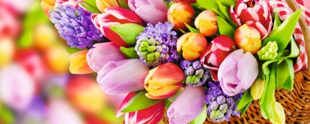 Busreise mit Fuchs Reisen