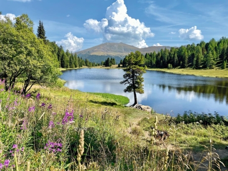 Busreise mit Fuchs Reisen