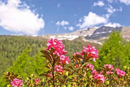 Busreise mit Fuchs Reisen