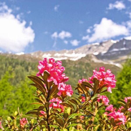 Busreise mit Fuchs Reisen