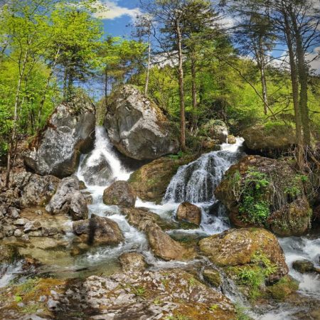 Busreise mit Fuchs Reisen