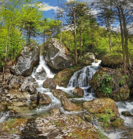 Busreise mit Fuchs Reisen