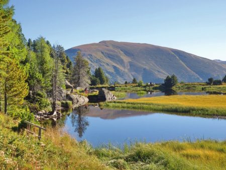 Busreise mit Fuchs Reisen