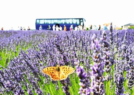 Busreise mit Fuchs Reisen