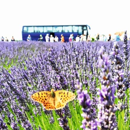 Busreise mit Fuchs Reisen