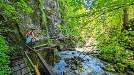 Busreise mit Fuchs Reisen