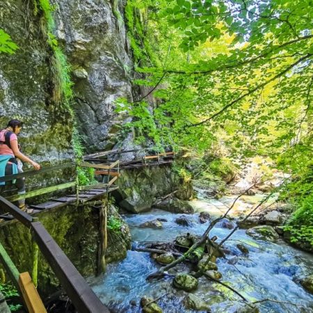 Busreise mit Fuchs Reisen