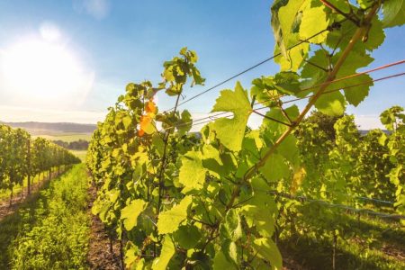 Busreise mit Fuchs Reisen